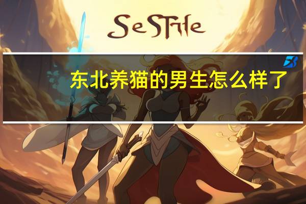 东北养猫的男生怎么样了