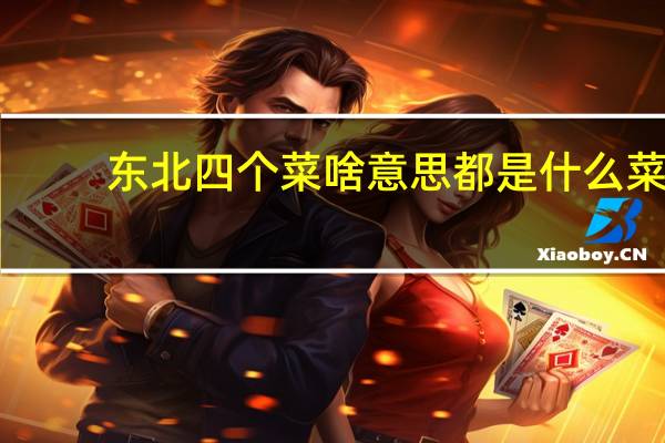 东北四个菜啥意思都是什么菜