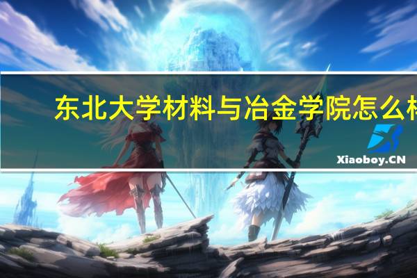 东北大学材料与冶金学院怎么样
