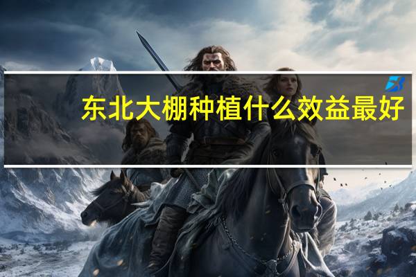 东北大棚种植什么效益最好