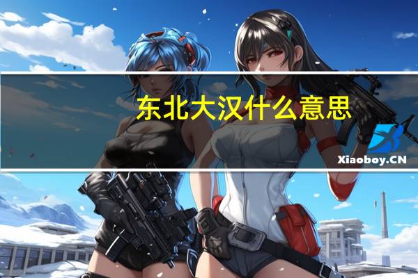 东北大汉什么意思