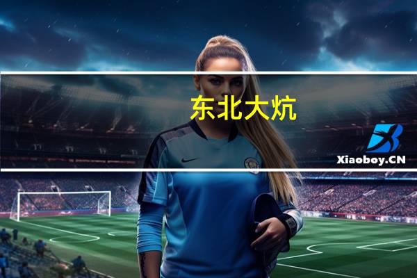 东北大炕（关于东北大炕的介绍）