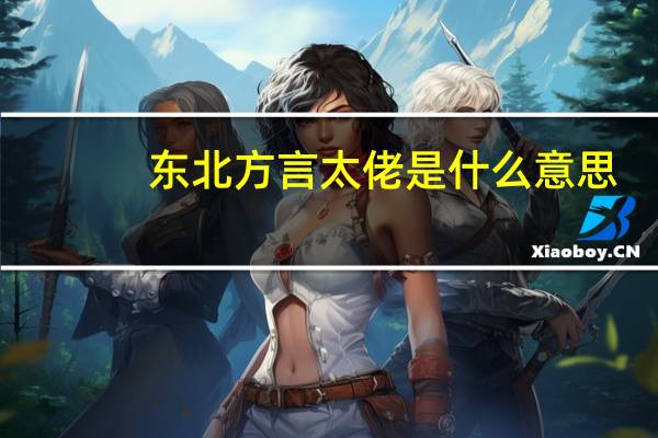 东北方言太佬是什么意思
