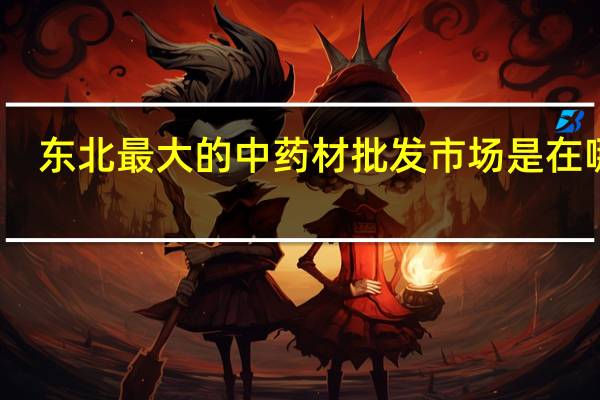 东北最大的中药材批发市场是在哪里