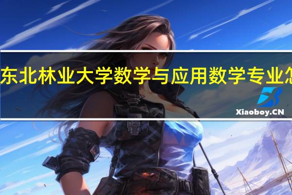 东北林业大学数学与应用数学专业怎么样