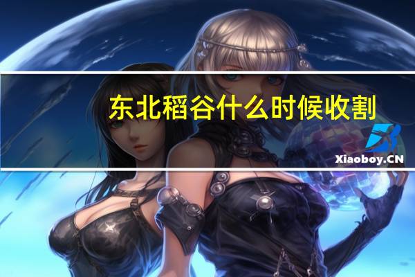 东北稻谷什么时候收割