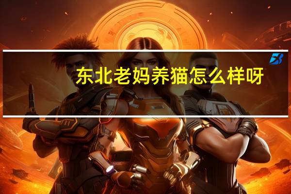 东北老妈养猫怎么样呀