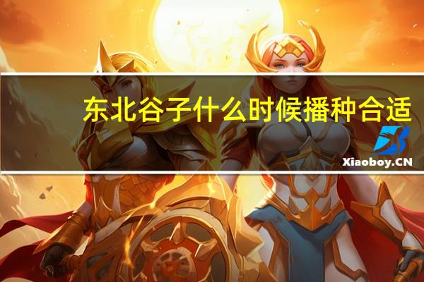 东北谷子什么时候播种合适