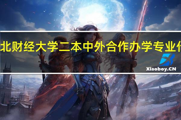 东北财经大学二本中外合作办学专业什么意思