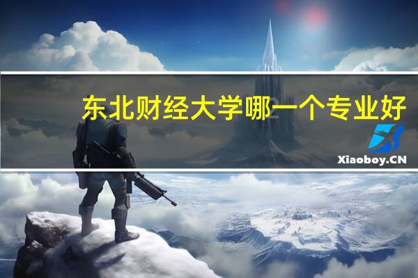 东北财经大学 哪一个专业好