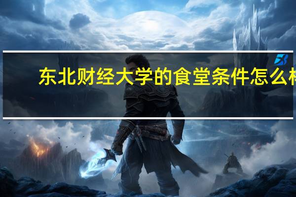 东北财经大学的食堂条件怎么样