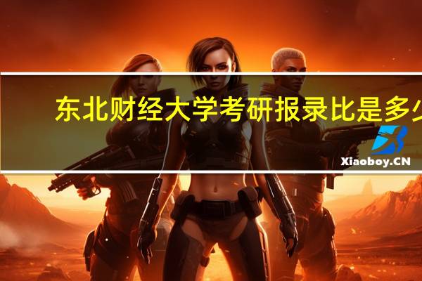 东北财经大学考研报录比是多少