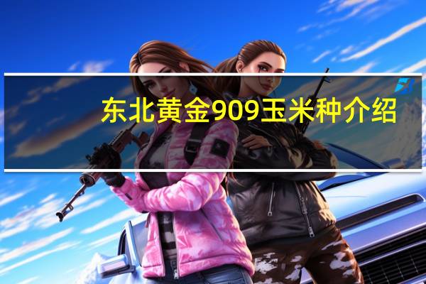 东北黄金909玉米种介绍