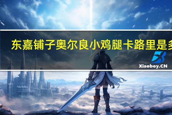 东嘉铺子 奥尔良小鸡腿卡路里是多少