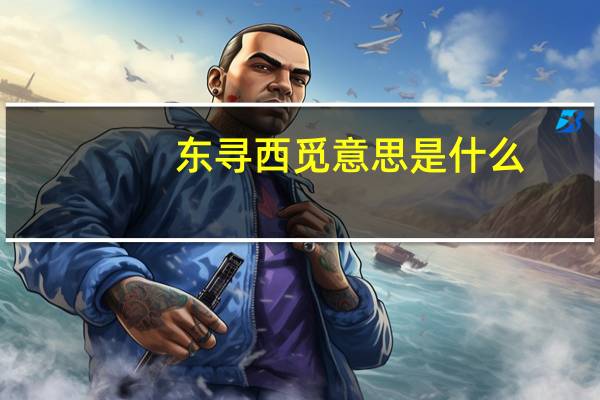 东寻西觅意思是什么