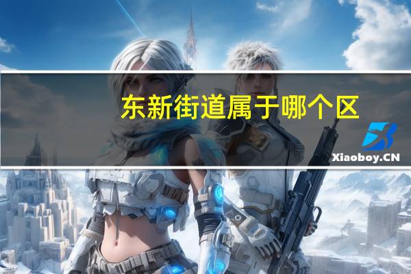 东新街道属于哪个区