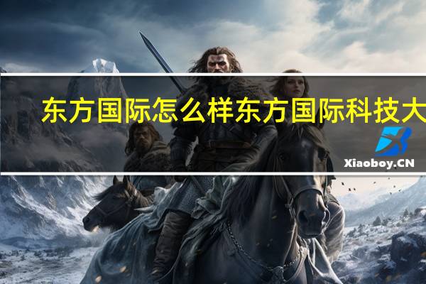东方国际怎么样 东方国际科技大厦