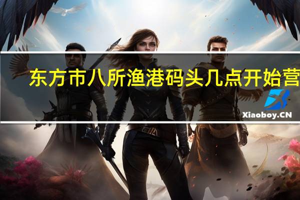 东方市八所渔港码头几点开始营业