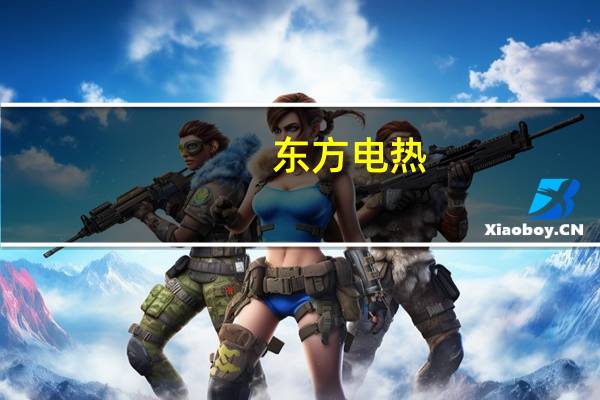 东方电热:未来3至5年新能源板块将是公司重点发展方向