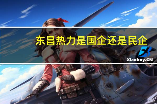 东昌热力是国企还是民企