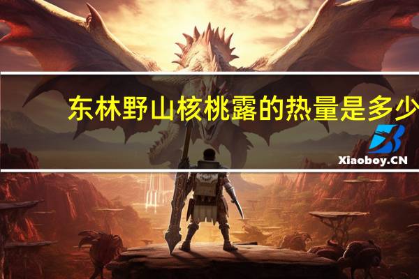 东林 野山核桃露的热量是多少