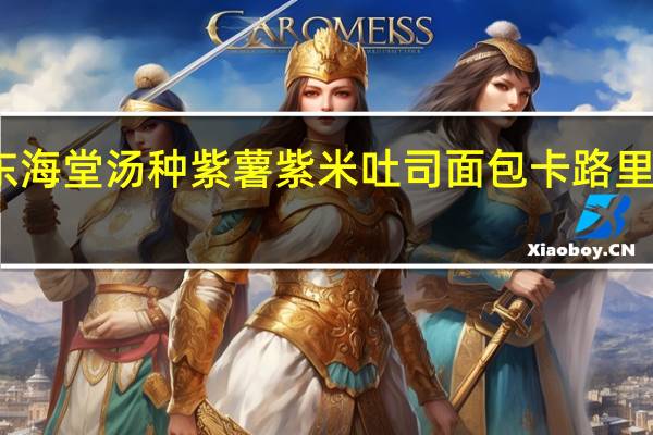 东海堂 汤种紫薯紫米吐司面包卡路里是多少