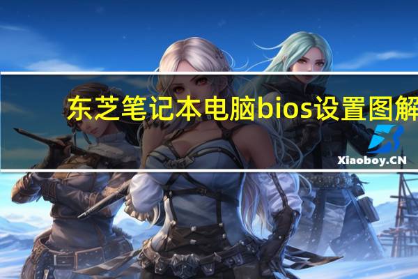 东芝笔记本电脑bios设置图解（东芝笔记本电脑怎么样）