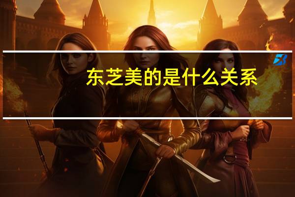 东芝美的是什么关系（东芝m331）