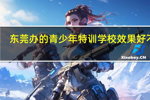 东莞办的青少年特训学校效果好不好,有人去读过吗