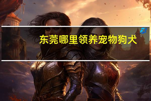 东莞哪里领养宠物狗犬