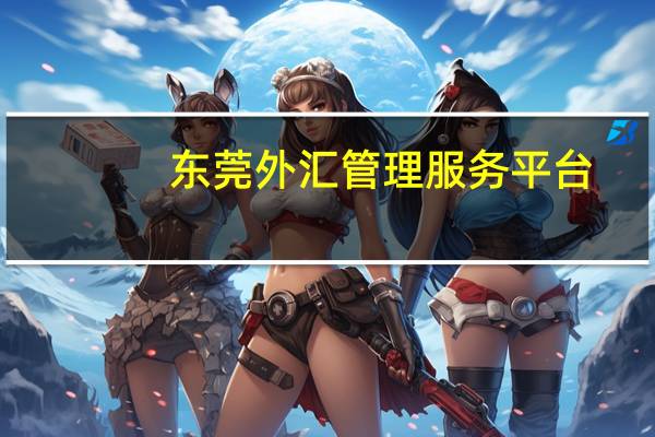 东莞外汇管理服务平台