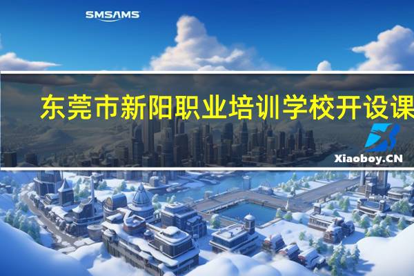 东莞市新阳职业培训学校开设课程