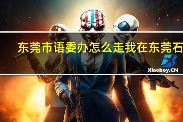 东莞市语委办怎么走 我在东莞石排，想考普通话，但是不知道怎么东莞市语委办，打12580都查不到。