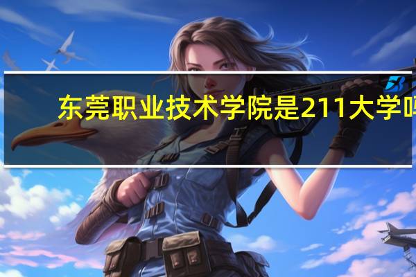 东莞职业技术学院是211大学吗