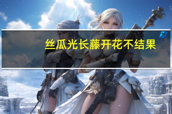 丝瓜光长藤开花不结果