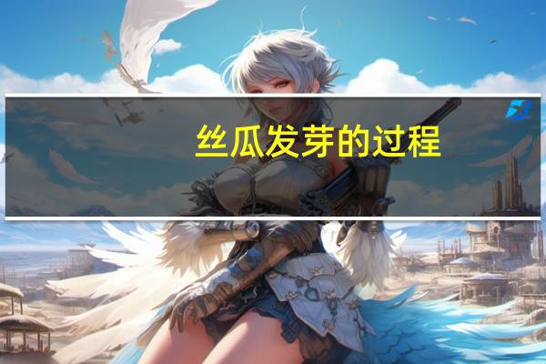 丝瓜发芽的过程