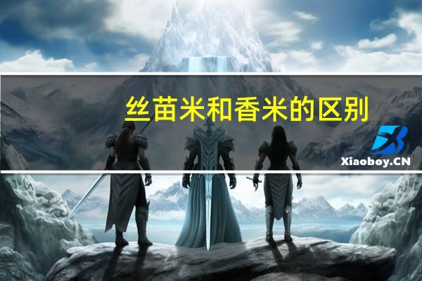 丝苗米和香米的区别（丝苗米）