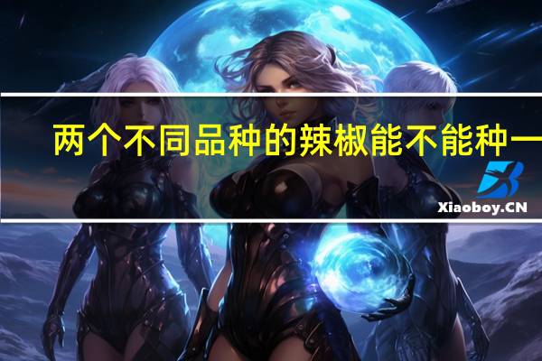 两个不同品种的辣椒能不能种一起
