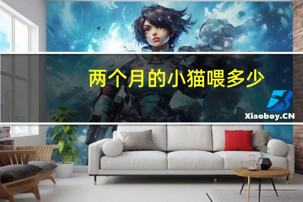 两个月的小猫喂多少