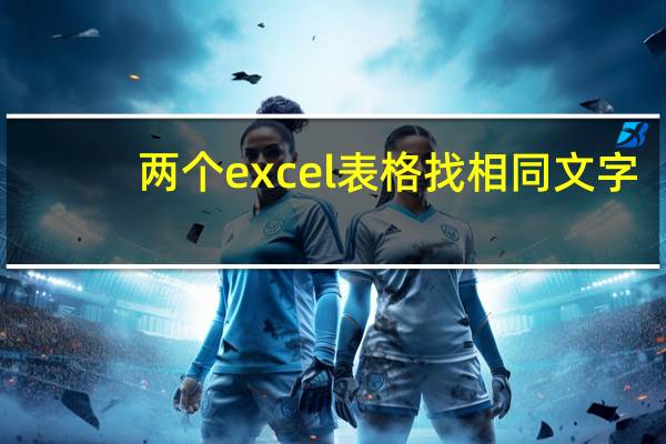 两个excel表格找相同文字（两个excel表格找相同名字）