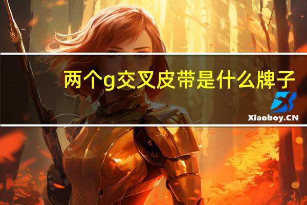 两个g交叉皮带是什么牌子
