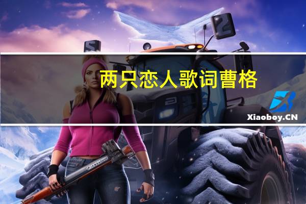 两只恋人歌词 曹格（两只恋人歌词）