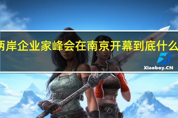 两岸企业家峰会在南京开幕 到底什么情况嘞