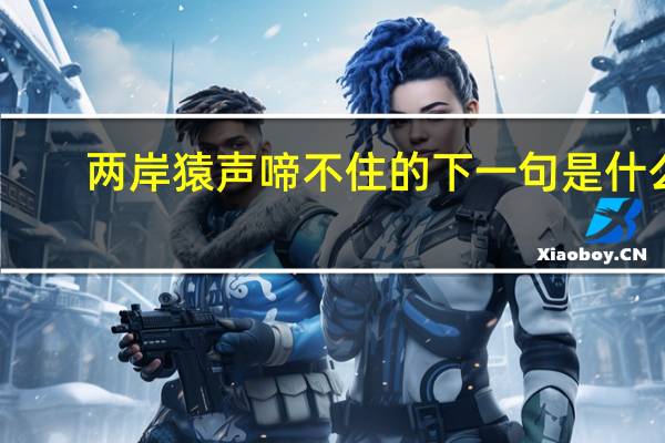 两岸猿声啼不住的下一句是什么