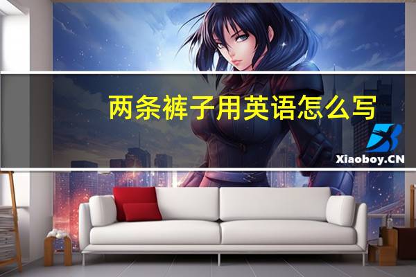 两条裤子用英语怎么写