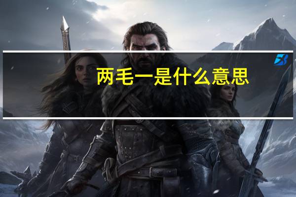 两毛一是什么意思