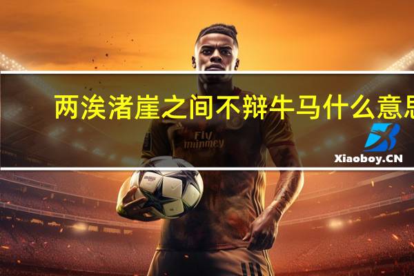 两涘渚崖之间不辩牛马什么意思