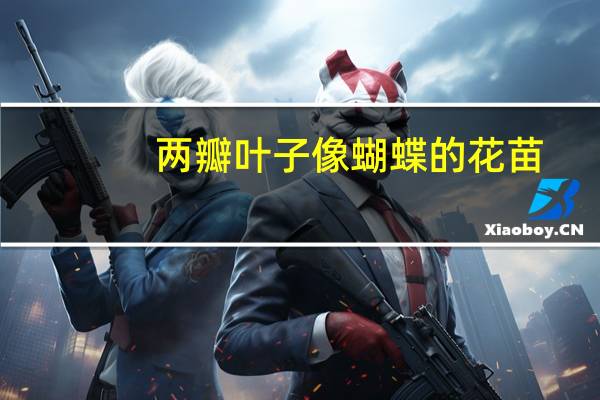 两瓣叶子像蝴蝶的花苗