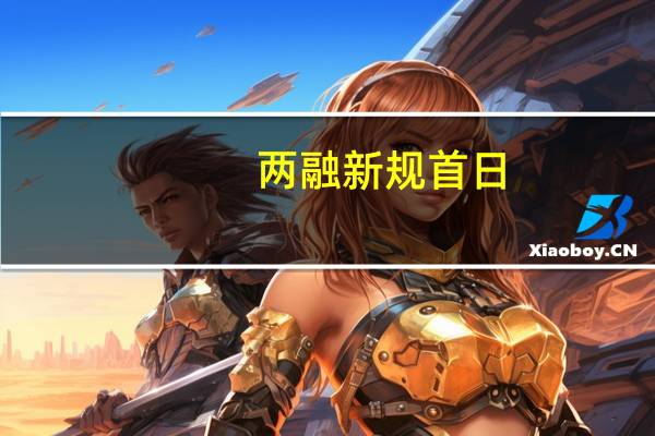 两融新规首日:成交翻倍两融指数飙涨 券商无意升杠杆