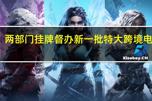 两部门挂牌督办新一批特大跨境电诈案